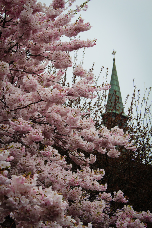 Slideshow image