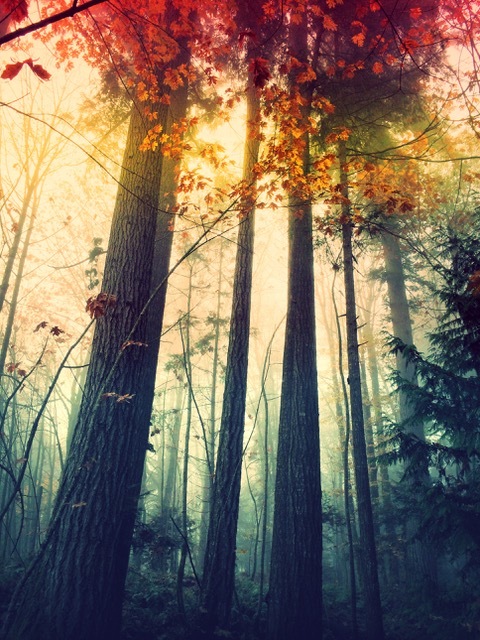 Slideshow image